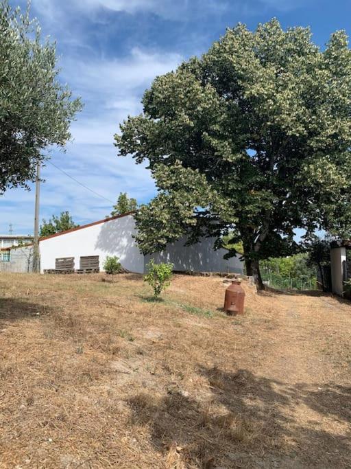 Casa Da Oliveira Villa Nelas Buitenkant foto