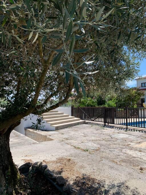 Casa Da Oliveira Villa Nelas Buitenkant foto